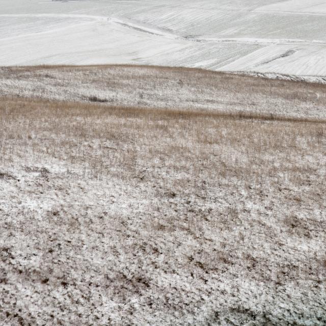 A snowfall (11)